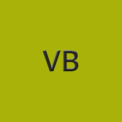 VB Development